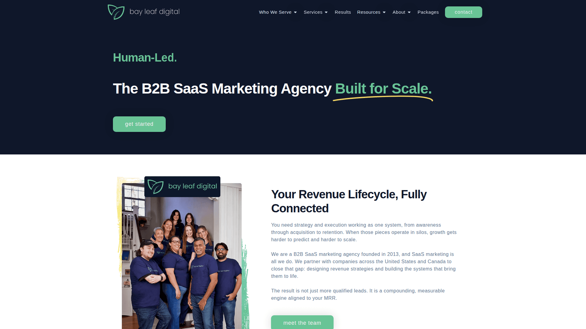 Bay Leaf Digital agency homepage