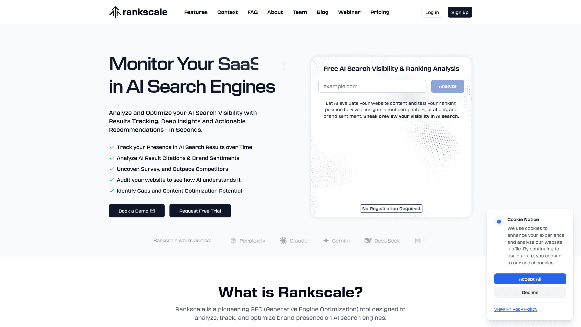 Rankscale AI screenshot