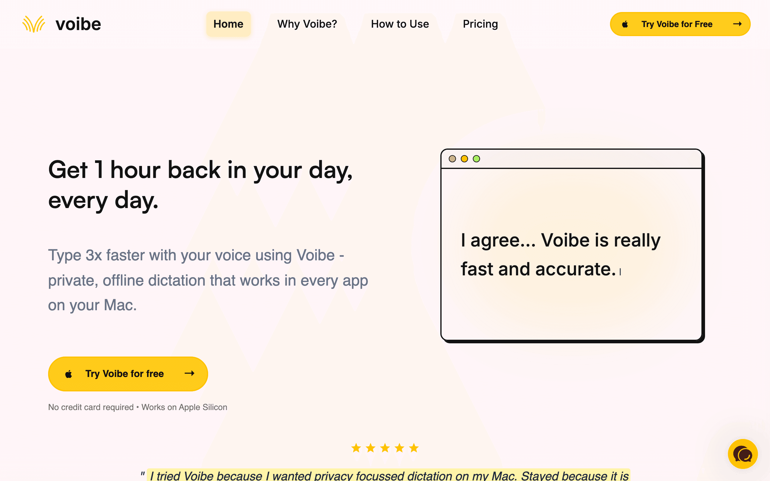 Voibe interface showing AI voice dictation and transcription